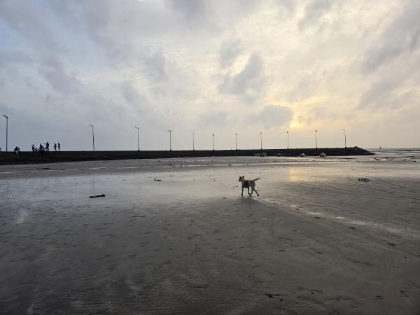 Musings about Mumbai